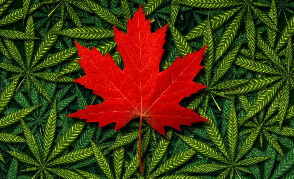 Health Canada Proposed Cannabis Packaging & Labelling Rules