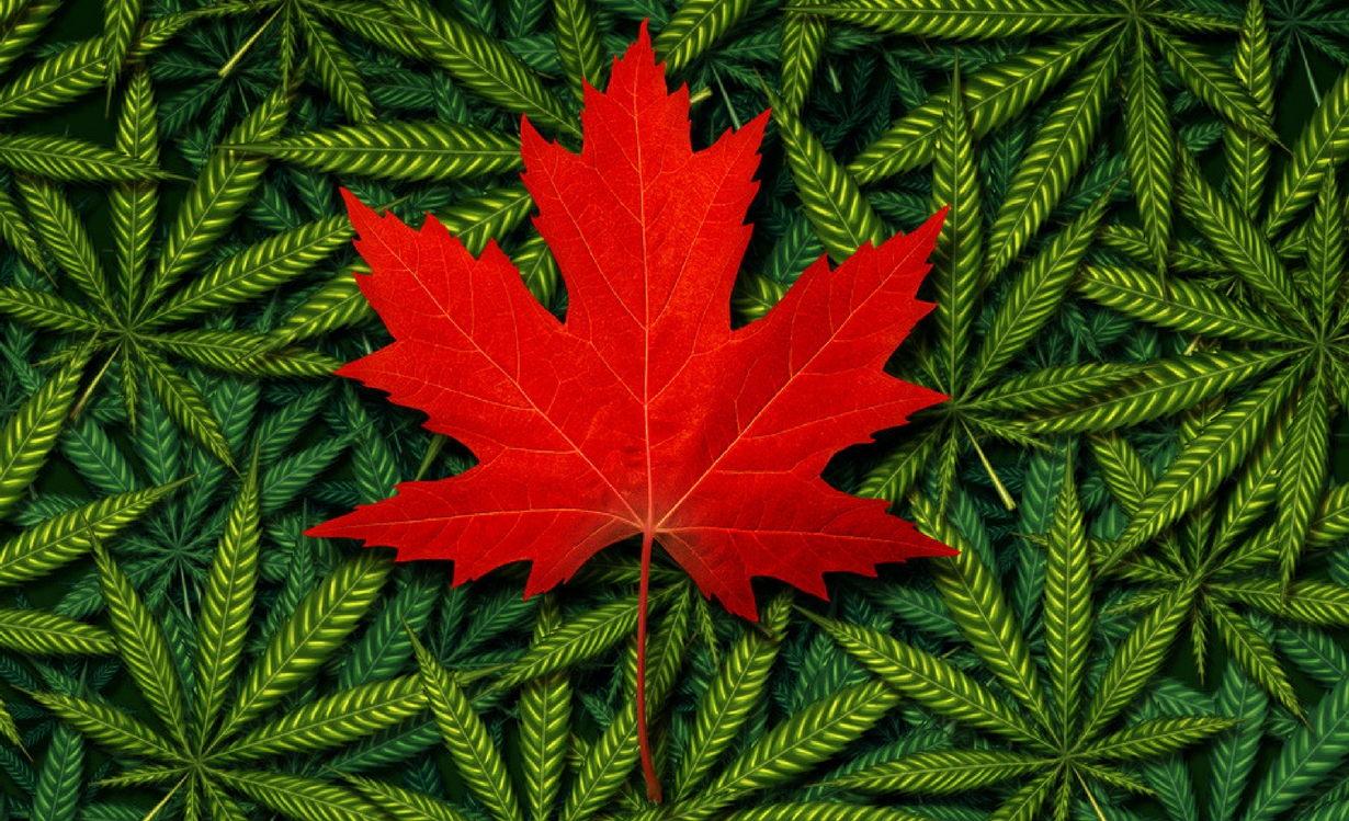 Health Canada Proposed Cannabis Packaging & Labelling Rules