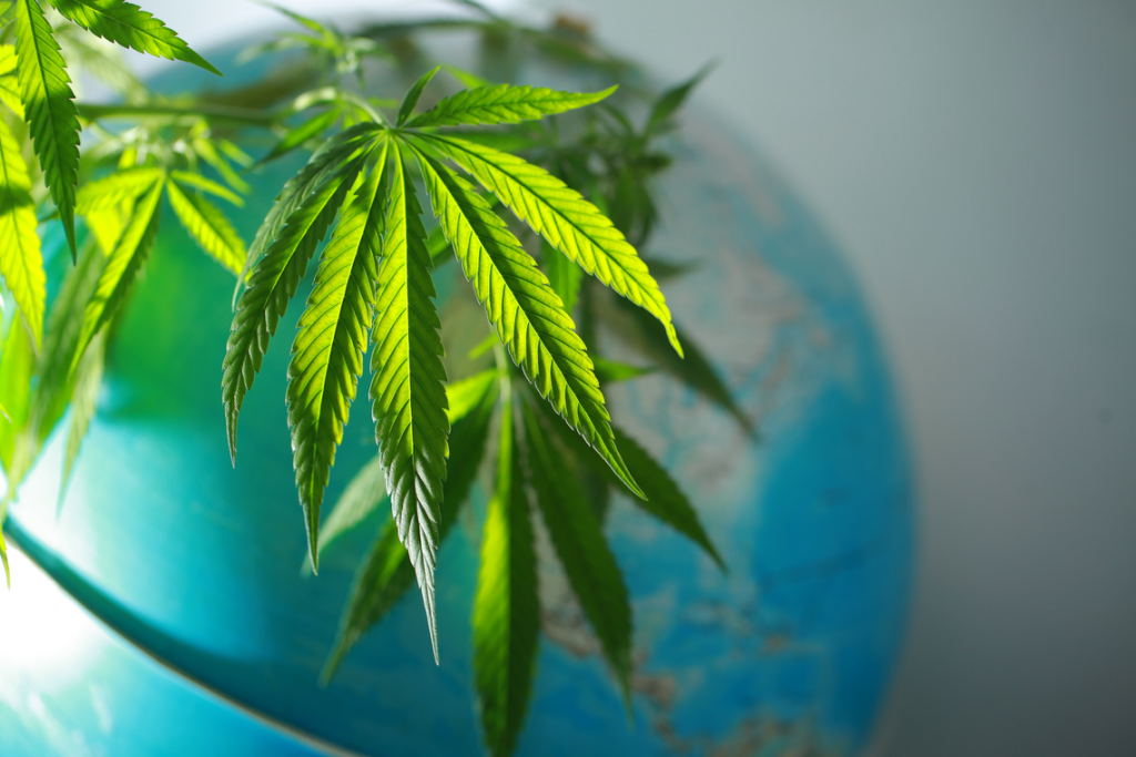 The Regulatory Framework of CBD: Confusing the Public on Both Sides of the Border
