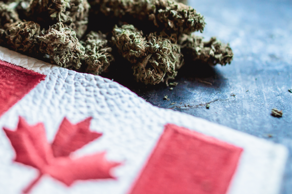 Cannabis Licensing Challenges: Critical Components to Consider When Submitting a Federal Licence Application